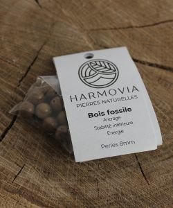 Perles Bois Fossile 8mm, 1 pièce